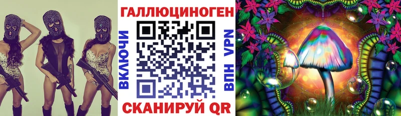 купить цена Сердобск omg маркетплейс Псилоцибиновые грибы мицелий